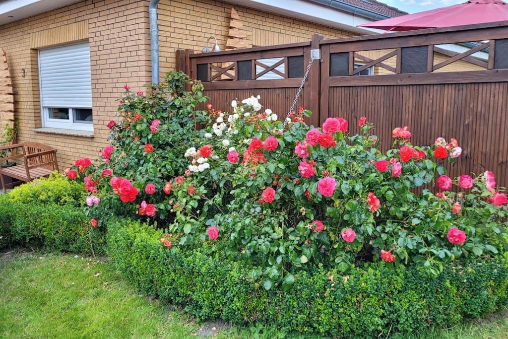HinteFh Ostfriesland To Huus, Zw. Emden Und Greetsiel别墅 外观 照片